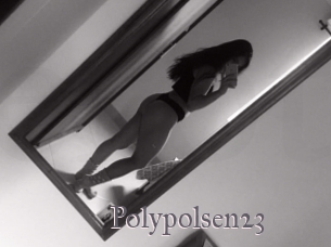 Polypolsen23
