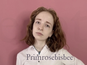 Primrosebisbee