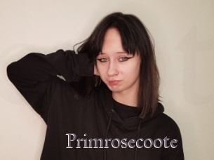 Primrosecoote