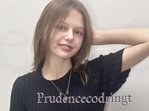 Prudencecodringt