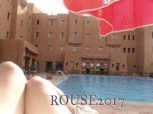 ROUSE2017