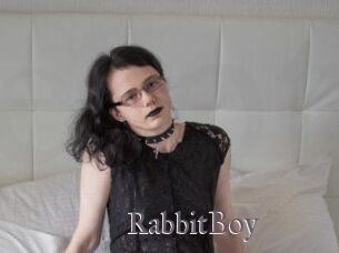 RabbitBoy