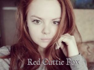 Red_Cuttie_Fox