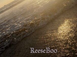 ReeseBoo