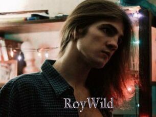 RoyWild