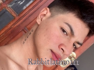 Rabbitlatino111