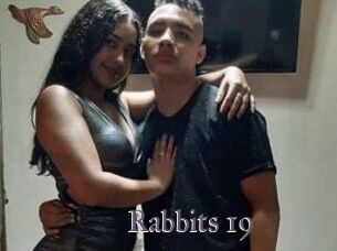 Rabbits_19