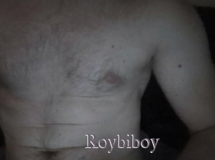 Roybiboy