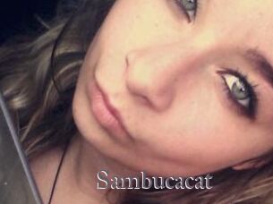 Sambucacat