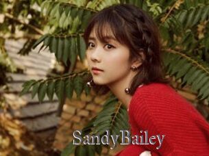 SandyBailey