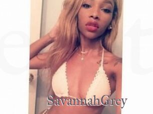 Savannah_Grey