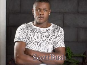 ScottBush
