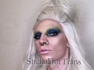 SheilaHotTrans