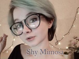 Shy_Mimosa