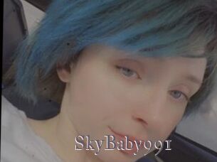 SkyBaby991