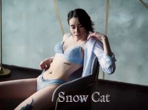 Snow_Cat