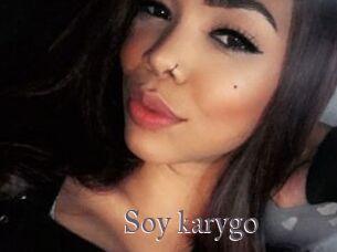 Soy_karygo