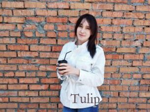 Tulip