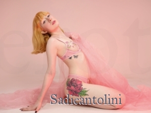 Sadieantolini