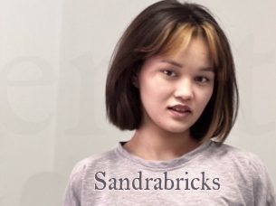 Sandrabricks