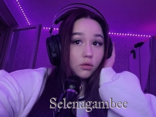 Selenagambee