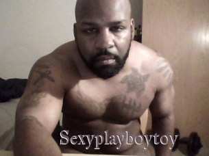 Sexyplayboytoy