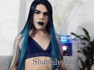 Shaneilysbig