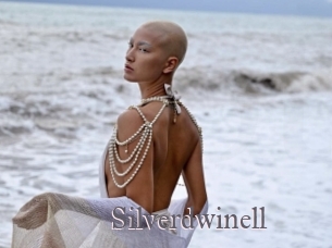 Silverdwinell