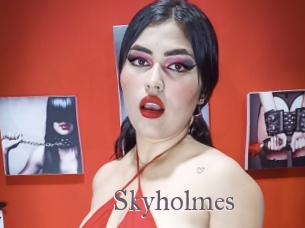 Skyholmes