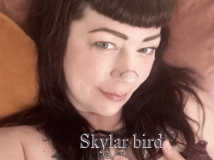 Skylar_bird