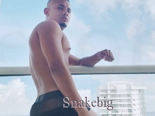 Snakebig