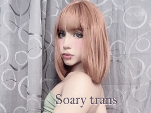 Soary_trans