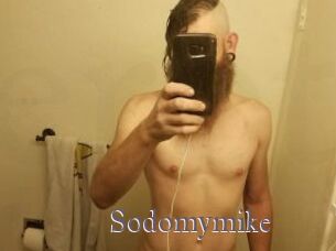 Sodomymike