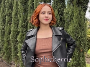 Sophicherrie