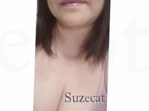 Suzecat