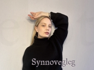 Synnovegleg