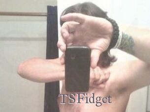 TSFidget