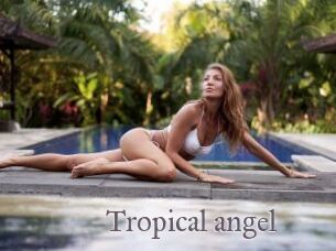 Tropical_angel