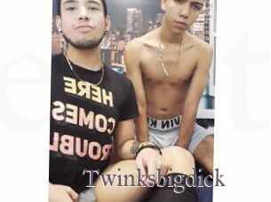Twinksbigdick