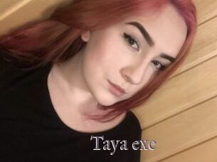 Taya_exe