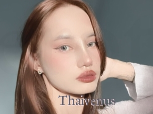 Thaivenus