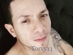 Torvy23