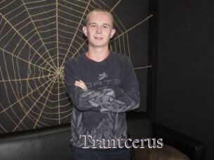 Trantcerus