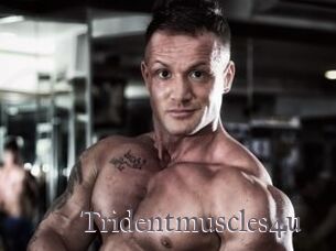 Tridentmuscles4u