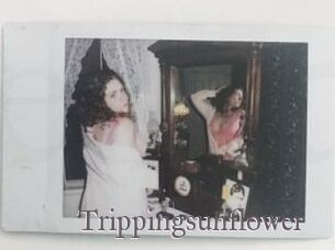 Trippingsunflower
