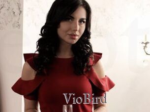 VioBird