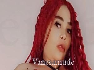 Vanesamude