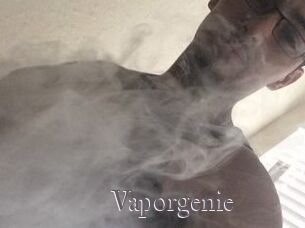 Vapor_genie