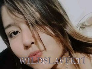 WILDSLAVEKTI