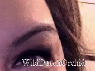 WildDutchOrchid